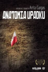 Anatomia upadku Cały Film – Online – Gdzie Obejrzeć?