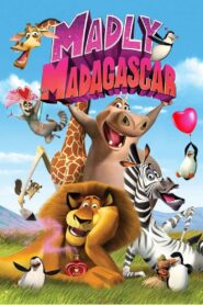 Zakochany Madagaskar Cały Film – Online – Gdzie Obejrzeć?