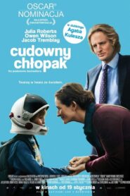 Cudowny chłopak Cały Film – Online – Gdzie Obejrzeć?