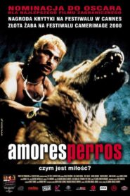 Amores perros Cały Film – Online – Gdzie Obejrzeć?