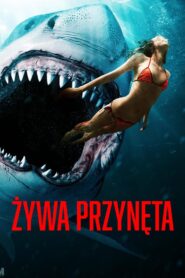 Żywa przynęta Cały Film – Online – Gdzie Obejrzeć?