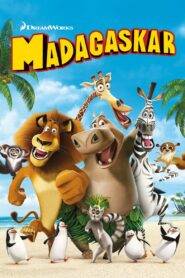 Madagaskar Cały Film – Online – Gdzie Obejrzeć?