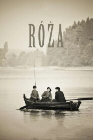 Róża Cały Film – Online – Gdzie Obejrzeć?