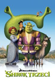 Shrek Trzeci Cały Film – Online – Gdzie Obejrzeć?