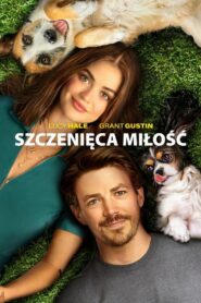 Szczenięca miłość Cały Film – Online – Gdzie Obejrzeć?