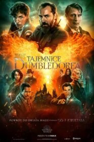 Fantastyczne zwierzęta: Tajemnice Dumbledore’a Cały Film – Online – Gdzie Obejrzeć?