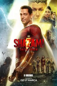 Shazam! Gniew bogów Cały Film – Online – Gdzie Obejrzeć?