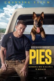 Pies Cały Film – Online – Gdzie Obejrzeć?