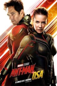 Ant-Man i Osa Cały Film – Online – Gdzie Obejrzeć?