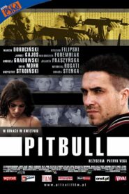 Pitbull Cały Film – Online – Gdzie Obejrzeć?