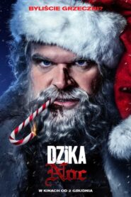 Dzika noc Cały Film – Online – Gdzie Obejrzeć?