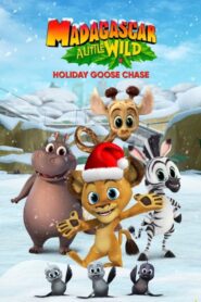 Madagaskar: Mała dzika świąteczna pogoń za gęsiami Cały Film – Online – Gdzie Obejrzeć?