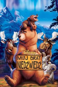 Mój brat niedźwiedź Cały Film – Online – Gdzie Obejrzeć?