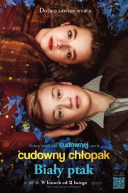 Cudowny chłopak. Biały ptak Cały Film – Online – Gdzie Obejrzeć?