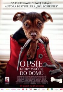 O psie, który wrócił do domu Cały Film – Online – Gdzie Obejrzeć?