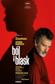 Ból i blask Cały Film – Online – Gdzie Obejrzeć?