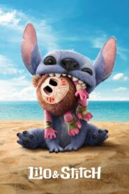 Lilo & Stitch Cały Film – Online – Gdzie Obejrzeć?