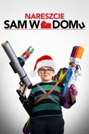 Nareszcie sam w domu Cały Film – Online – Gdzie Obejrzeć?