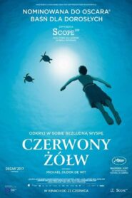 Czerwony żółw Cały Film – Online – Gdzie Obejrzeć?