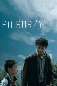 Po burzy Cały Film – Online – Gdzie Obejrzeć?