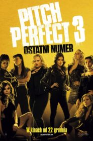 Pitch Perfect 3 Cały Film – Online – Gdzie Obejrzeć?